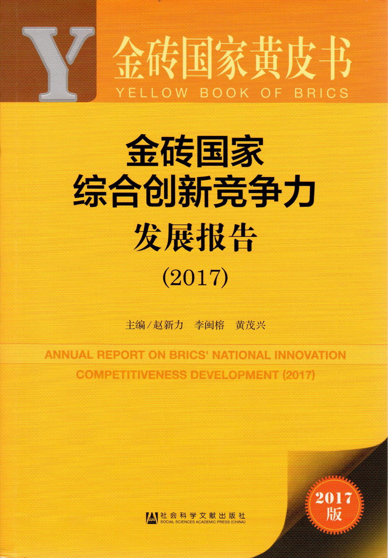 爆操内射大胸老师金砖国家综合创新竞争力发展报告（2017）